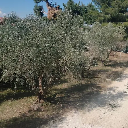 La Casa Del Sole Belvedere Ostrense