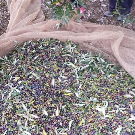 La Casa Del Sole Appartamento *