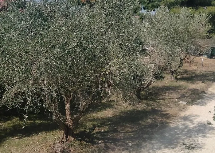 La Casa Del Sole Belvedere Ostrense