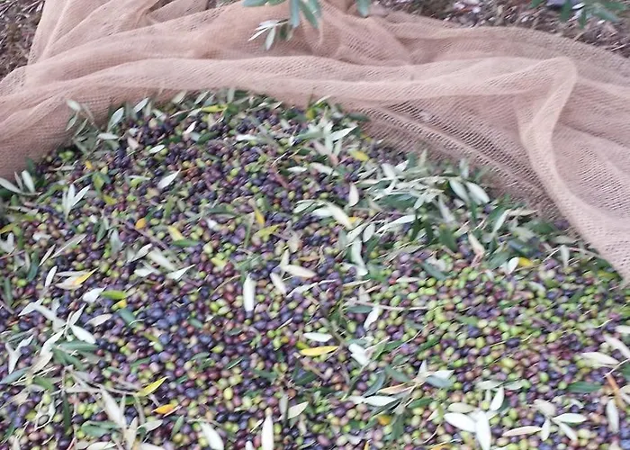 La Casa Del Sole Appartamento *